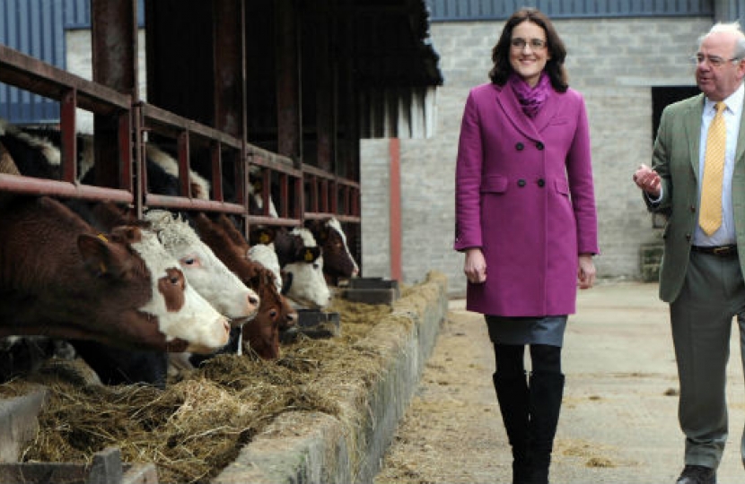 Theresa Villiers MP visiting a dairy farm in Northern Ireland