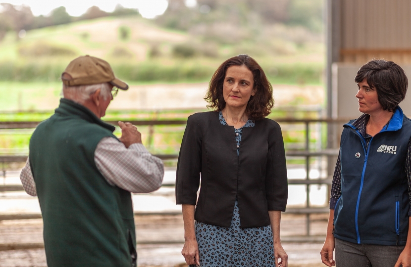 Theresa Villiers visiting a farm in Wales
