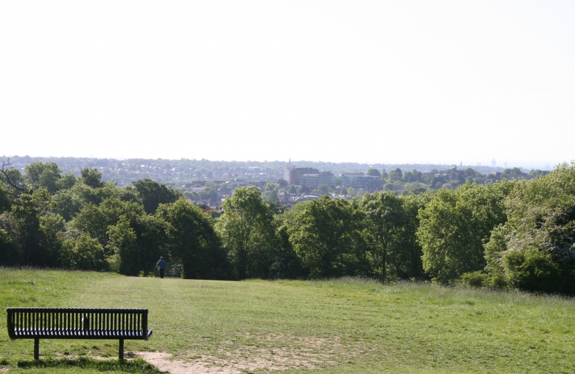 View of New Barnet from King George's Fields