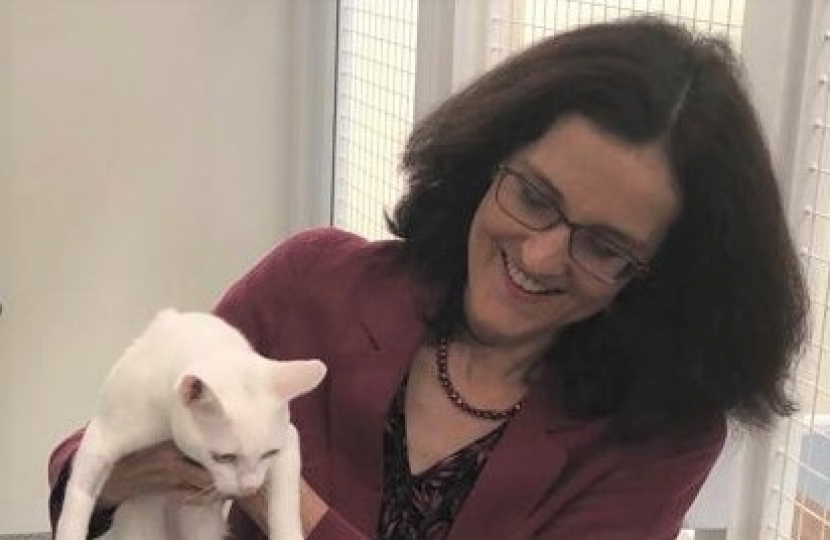 Theresa Villiers MP visiting cat refuge