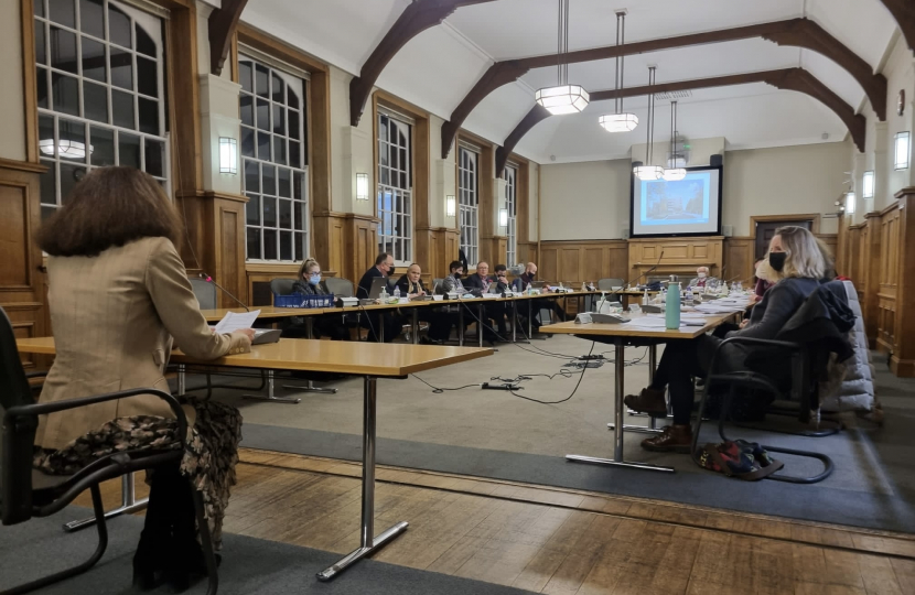 Theresa Villiers addresses Barnet Council's planning committee