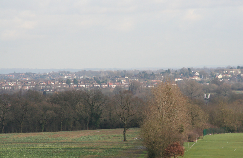 Green belt views from Arkley - photo by Theresa Villiers MP