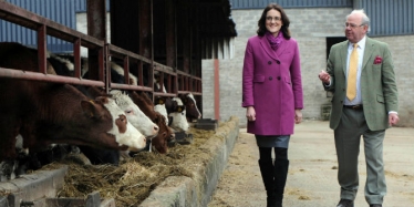 Theresa Villiers MP visiting a dairy farm in Northern Ireland